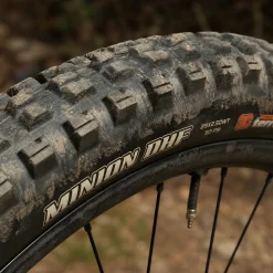 Maxxis Minion DHF Tire 29