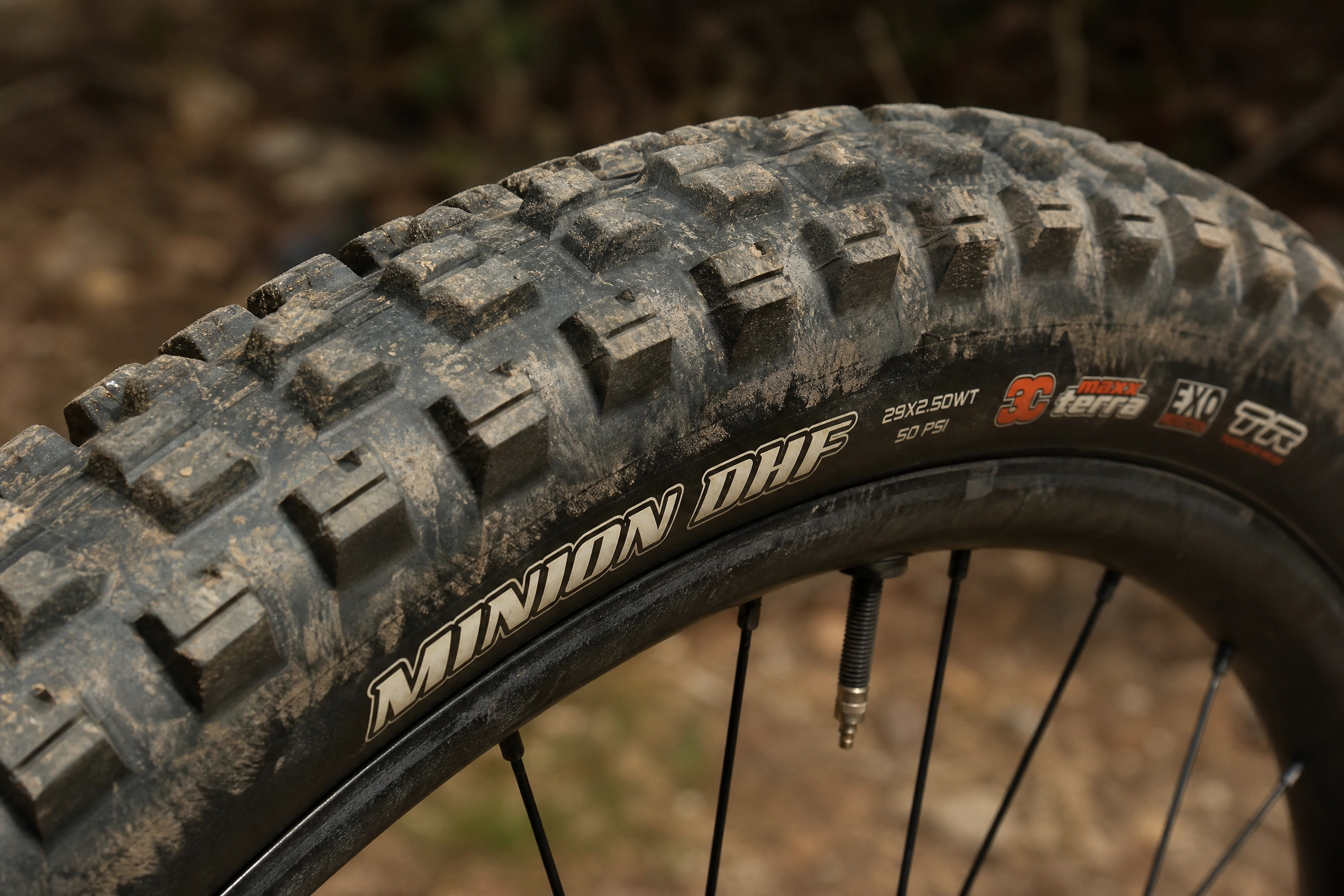 Maxxis Minion DHF Tire 29