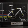 World Championship Rainbow Jersey Bike Model