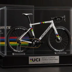 World Championship Rainbow Jersey Bike Model