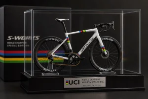 World Championship Rainbow Jersey Bike Model