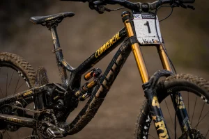 Downhill World Cup Champion Miniature Bike